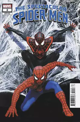 The Spectacular Spider-Men #2 Mike Mayhew Variant • $30