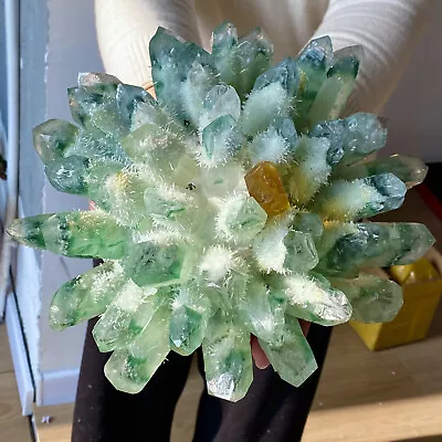 10.16LB Green Ghost Cluster Quartz Crystal Mineral Specimen • $1.25