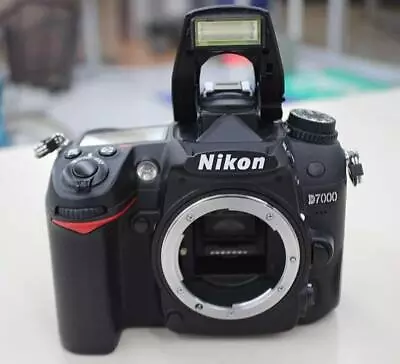 Nikon D7000 Body Digital Single Lens Reflex • $538.10