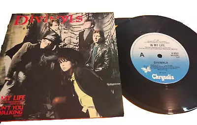 Divinyls –    In My Life / Don't You Go Walking  - 1984 Ltd Edition 7  Single 45 • $13