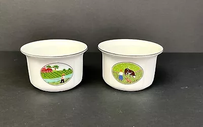 2 Villeroy & Boch China Luxembourg Design Naif 3 3/4  Ramekins Custard Bowl • $34.99