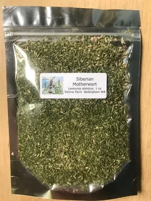 Siberian Motherwort Dried Herb - Leonurus Sibiricus • $20