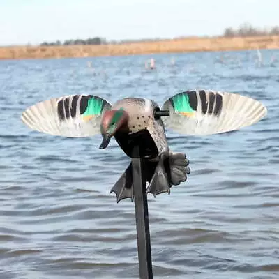 Outdoor Green Wing Teal Spinning Wing Duck Decoy 1 Piece Spinning Duck Decoy • $117.33