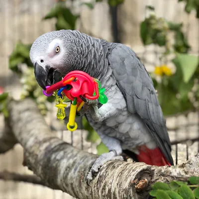 Small UFO Parrot Foot Toy Bird Safe Plastic African Grey Amazon Cockatiel Conure • £8.55