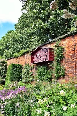 Photo 6x4 Dovecote The Alnwick Garden Located On The Wall Of The Formal  C2010 • £2