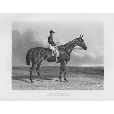 COTHERSTONE Racehorse Winner Of The 1843 Epsom Derby - Antique Print 1850 • £7.99