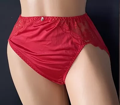 Vintage Maidenform Bikini Panty Brief M Chantilly Lace Red Nylon Hi-Cut Panties • $51.90