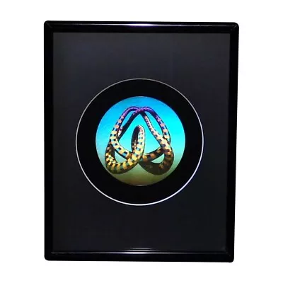 3D Mobius Loop Color Tuned Hologram Picture FRAMED Collectible Embossed Type • £62.69