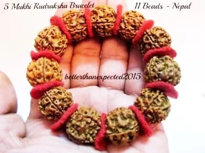 5 Mukhi Rudraksha 5 Face Rudraksh 18-20 Mm -Nepal Beads Bracelet Wrist Band Mala • $13.90