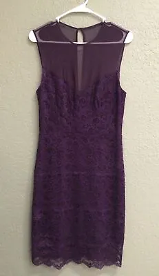 Nicole Miller Size 8 Plum Purple Lace Sheer Chest Dress • $19.99