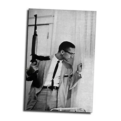 Malcolm X .by Any Means Necessary Poster Decorative 12x18inch(30x45cm) Unframed • $28