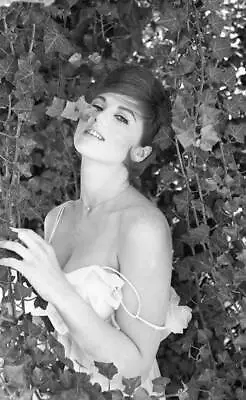 Tina Louise Poses Session In Front Of Plants 1954 Old Photo 4 • $8.50