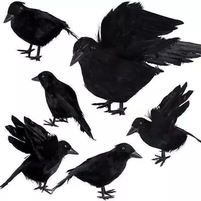 6PCS Black Lifesize Raven Movie Prop Fake Crow Halloween Hunting Decor Birds UK • £7.82