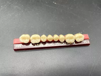 Vintage Denture Teeth Set Single Strip - T116 • $14.99