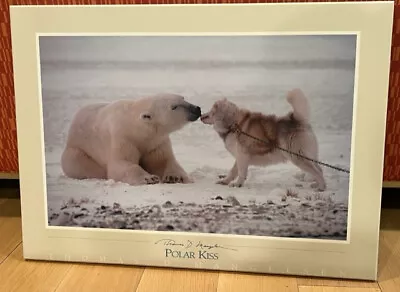 Polar Kiss By Thomas Mangelsen.  23.5 X 33  Flush Almond Picture • $260