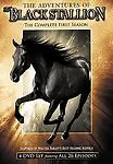 THE ADVENTURES OF THE BLACK STALLION - The Complete First 1 One Season DVD • $5.95