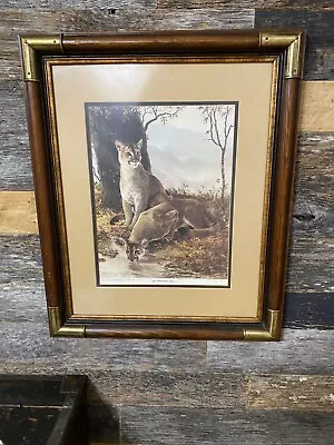 A Watchful Eye By Michael Sloan 1981 Signed & Dated  Print 10-30-82 Framed Nice • $84