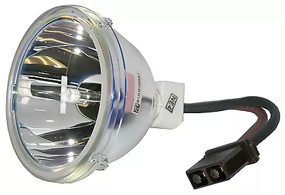 New Lamp Bulb Only For Toshiba D95-LMP 23311153A 23311153 • $89.95