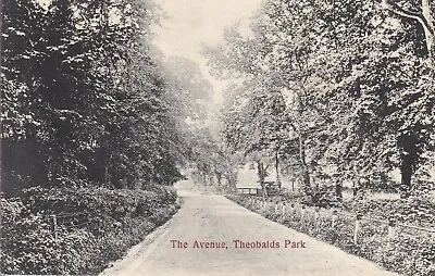 THEOBALDS PARK - The Avenue 1908 - Near Cheshunt Waltham Cross - Hertfordshire • £3.50