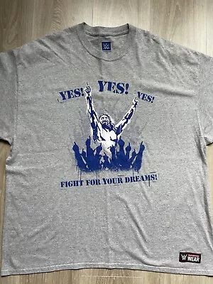 Official WWE Daniel Bryan Yes Dreams T Shirt Size XXL Grey Wrestling RARE • £16.99