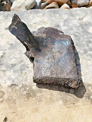 Fossil Horse Pelvis Fragment Florida Ice Age Pleistocene • $30