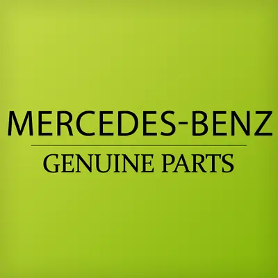 Genuine MERCEDES V251 W164 Cover Load Securing Roof Rail Right 25186802397E94 • $15.40