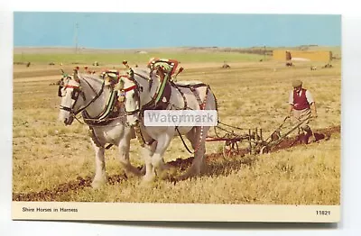 £1.49 • Buy Shire Horses In Harness - Ploughing A Field - C1960's British Postcard