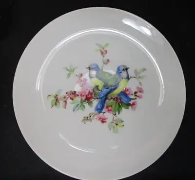 Mottahedeh Bird Plate (290) • $9