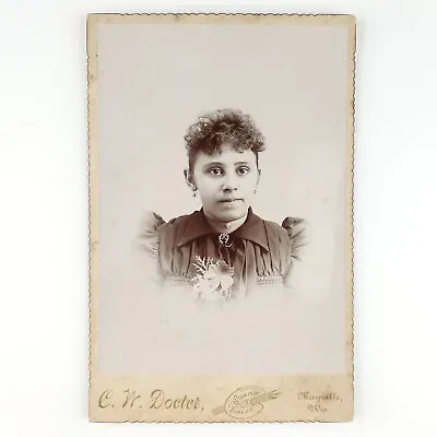 Mayville Wisconsin Girl Cabinet Card C1885 Docter Photo Woman Antique Lady C2504 • $13.96