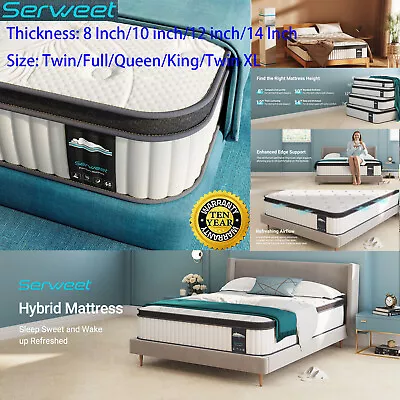 Pillow Top 10  12  14  Memory Foam Queen Mattress Spring Twin Full King In A Box • $219.99