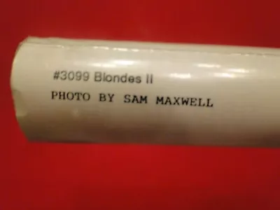 Vintage Original 1994 Sam Maxwell Blondes II 3099 Sealed Poster New Old Stock • $25