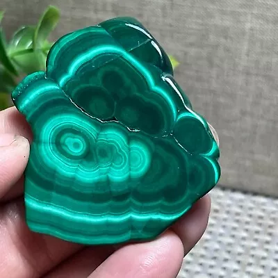 Malachite Slab / Slice  Polished Gemstone Mineral Specimen Congo 25g A11 • $22.62