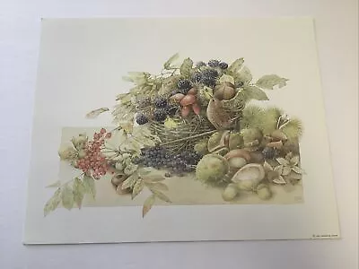 1994 Marjolein Bastin “Blackberries In A Basket” Print • $17.38