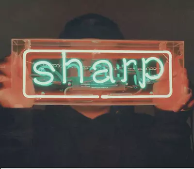  Sharp  Acrylic Box Neon Sign Bar Gift 14  Light Lamp Glass Window Artwork Z307 • $85.08