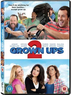 [DISC ONLY] Grown Ups 2 DVD Comedy (2013) Adam Sandler • £1.69