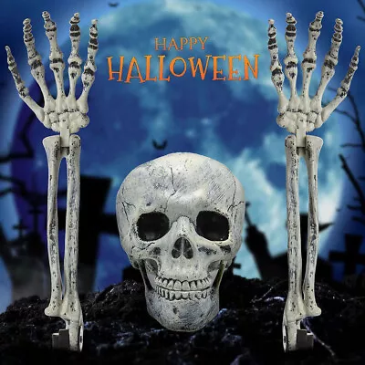 Halloween Skeleton Head & Hands Spooky Skull Decor Scary Head Bones Party Decor • £6.99