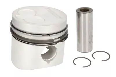 Piston NURAL 87-109500-00 • $109.74