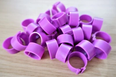 £4.07 • Buy Bantam Pheasant Chicken Flat Leg Rings In PURPLE | Pack Of 10 X12mm | Freepost