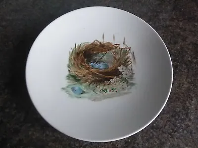 £44.99 • Buy Vintage - Minton - Cabinet Plate - Birds Nest - Hand Painted - Impressed Mark