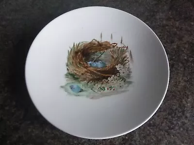 £44.99 • Buy Vintage - Minton - Cabinet Plate - Birds Nest - Hand Painted - Impressed Mark