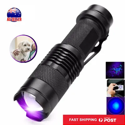 UV Flashlight Light Ultraviolet LED Urine Stains Detector Blue Purple Torch • $15.99