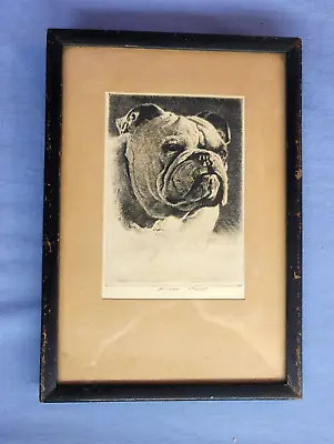 Morgan Dennis Etching English BullDog An Englishman And A Gentleman Canine 1927 • $189.69