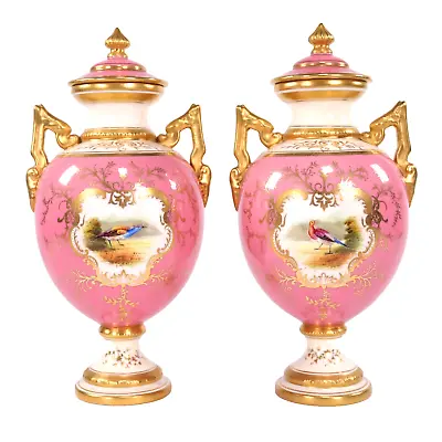 Coalport Porcelain Vases Randalls Exotic Birds Pink H18cm V5146 Circa 1900 • £380