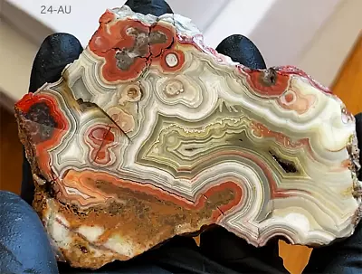 Laguna Lace Agate Slab Rough Mexico A+ Grade - 97g. - SEE THE CRAZY VIDEO! • $46.99