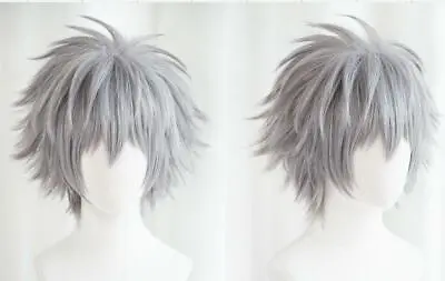 EVA Evangelion Nagisa Kaworu Cosplay Hair Wig Short Silver • $27.90