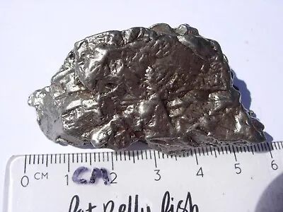 84.4 Grams NEW CAMPO DEL CIELO METEORITE Polished + Certificate Of Authenticity • $63.99