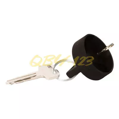Fit Toro 106-5270 Ignition Key Set Replacement Mower Workman Keys GTX Reelmaster • $17.99