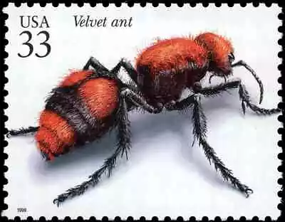 US Scott #3351i 1999 Velvet Ant : Insects And Spiders 33¢ Stamp MNH • $1.75