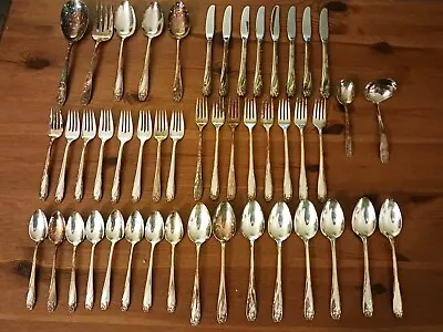 Vintage 1847 Rogers Bros Daffodil Silverplate IS Flatware 47 Pieces • $99.95