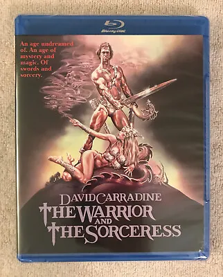 The Warrior And The Sorceress Blu-ray Shout Factory David Carradine 80s Fantasy • $22.99